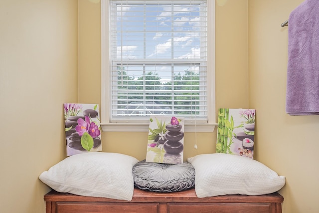 1245 Ben Hill Blvd, Nolensville, TN 37135 - view of living area
