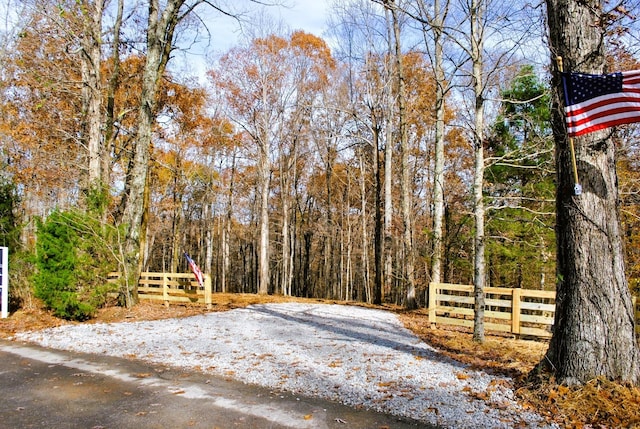 7890 Lampley Rd, Primm Springs, TN 38476 - view of yard featuring a forest view