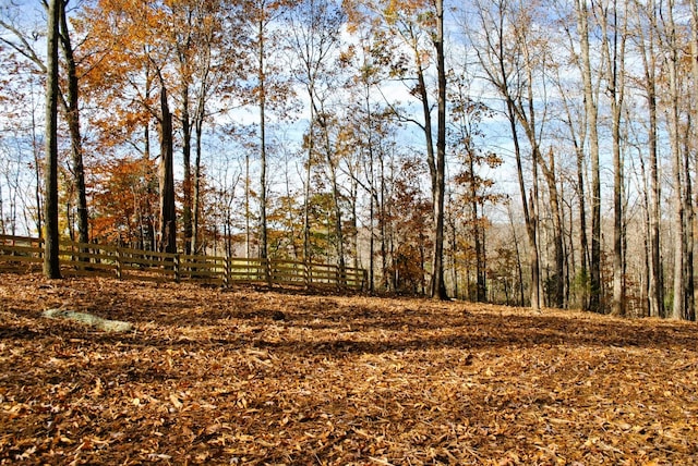 7890 Lampley Rd, Primm Springs, TN 38476 - view of undeveloped land