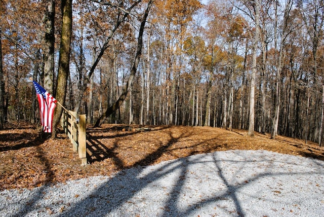 7890 Lampley Rd, Primm Springs, TN 38476 - view of yard with a view of trees