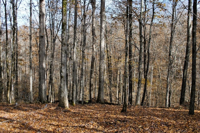 7890 Lampley Rd, Primm Springs, TN 38476 - view of undeveloped land