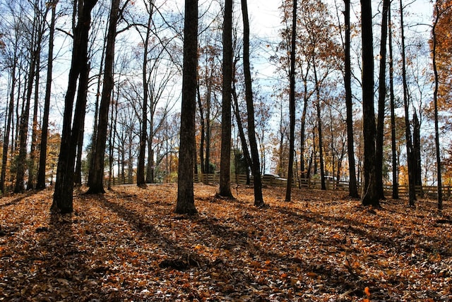 7890 Lampley Rd, Primm Springs, TN 38476 - view of nature