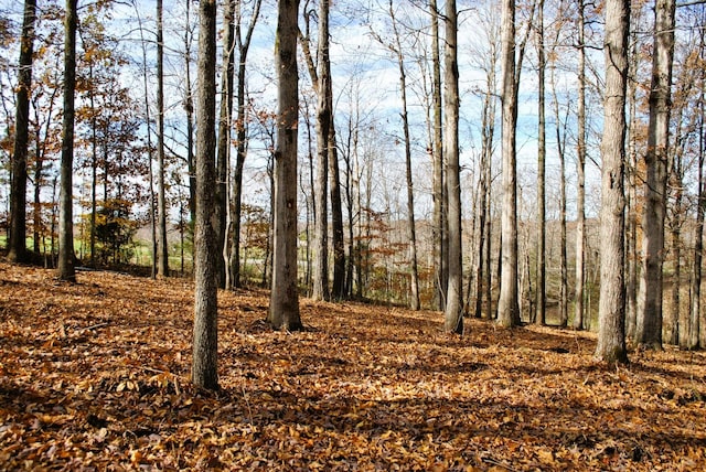 7890 Lampley Rd, Primm Springs, TN 38476 - view of undeveloped land