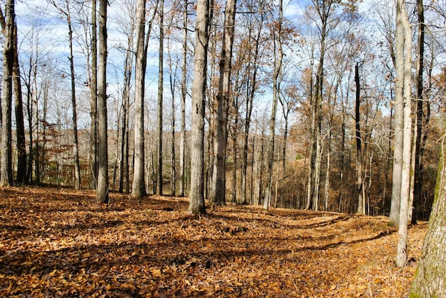 7890 Lampley Rd, Primm Springs, TN 38476 - view of nature