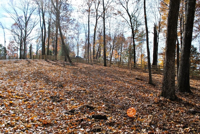 7890 Lampley Rd, Primm Springs, TN 38476 - view of undeveloped land