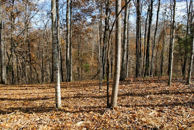 7890 Lampley Rd, Primm Springs, TN 38476 - view of woods