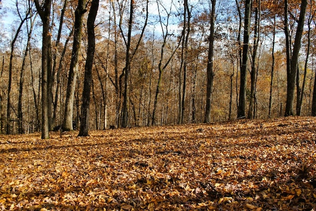 7890 Lampley Rd, Primm Springs, TN 38476 - view of undeveloped land