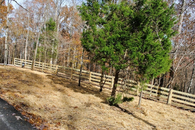 7890 Lampley Rd, Primm Springs, TN 38476 - view of yard