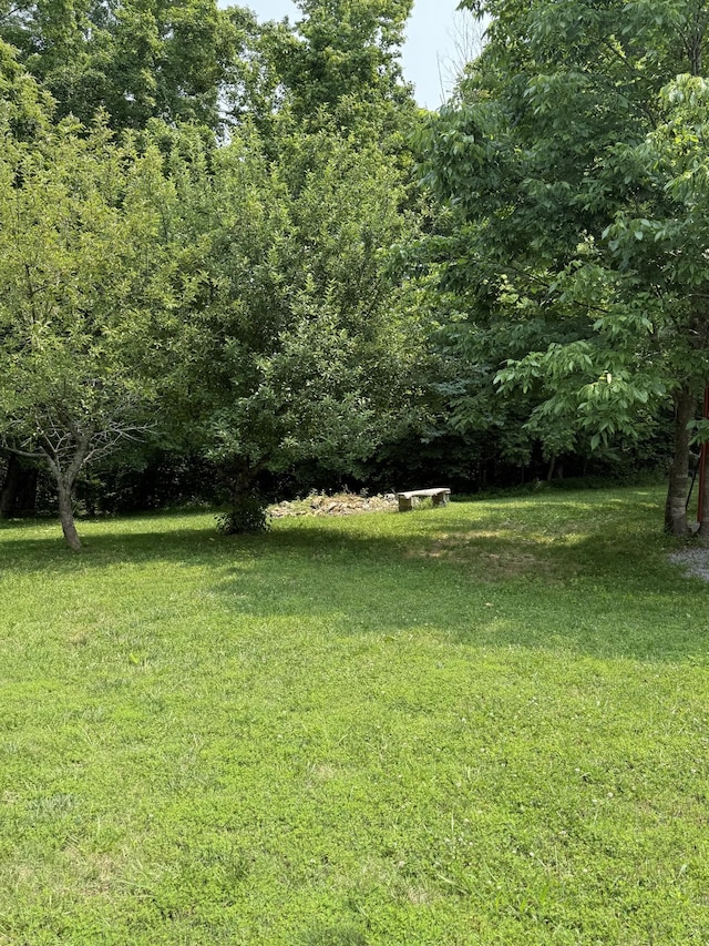 1231 Floyd Hudgens Rd, Ashland City, TN 37015 - photo 43