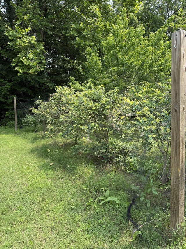 1231 Floyd Hudgens Rd, Ashland City, TN 37015 - photo 44