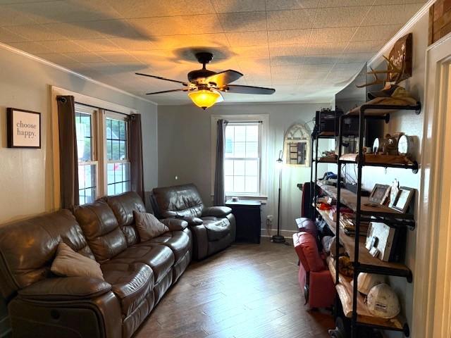 714 King Ave, Shelbyville, TN 37160 - photo 6