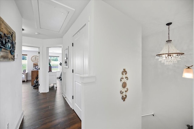 2183 Nectar Ln, Columbia, TN 38401 - corridor with attic access, dark wood-type flooring, baseboards, and a chandelier