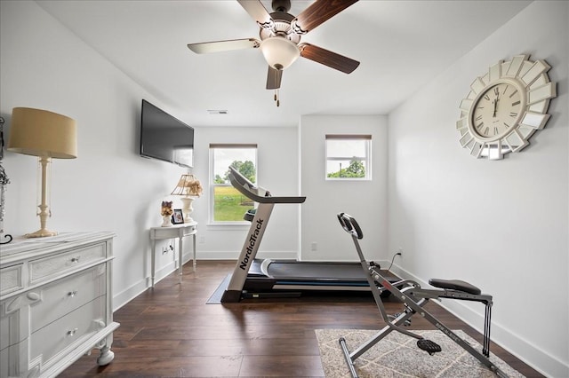 2183 Nectar Ln, Columbia, TN 38401 - exercise area with healthy amount of natural light, a ceiling fan, dark wood-style flooring, and baseboards