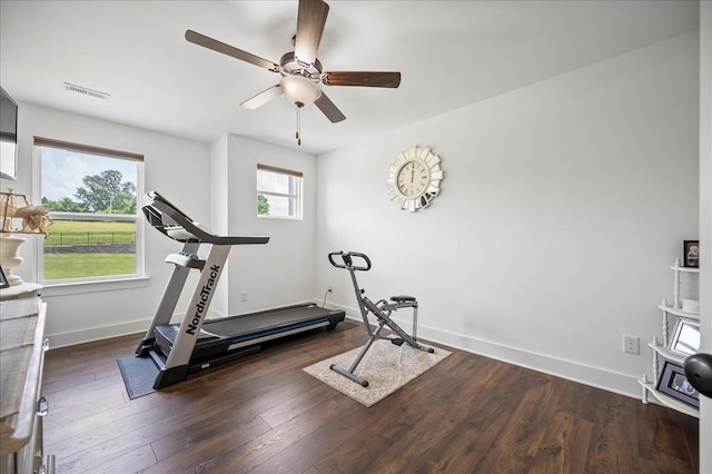 2183 Nectar Ln, Columbia, TN 38401 - workout room with a ceiling fan, baseboards, and wood finished floors