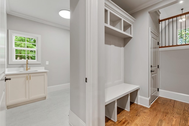 333 Burris Rd, Mount Juliet, TN 37122 - mudroom with a sink, light wood-style floors, crown molding, plenty of natural light, and baseboards
