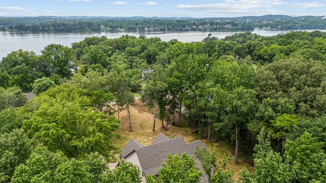 333 Burris Rd, Mount Juliet, TN 37122 - aerial view of a large body of water and a heavily wooded area