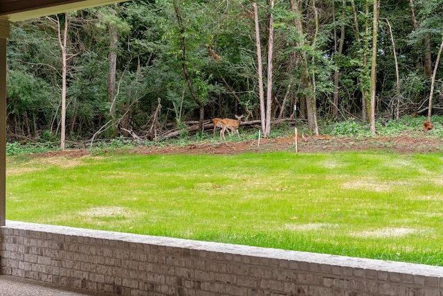 333 Burris Rd, Mount Juliet, TN 37122 - view of green lawn