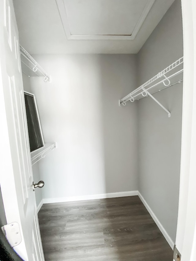 100 Wt Hardison Ave, Portland, TN 37148 - walk in closet featuring wood finished floors and attic access