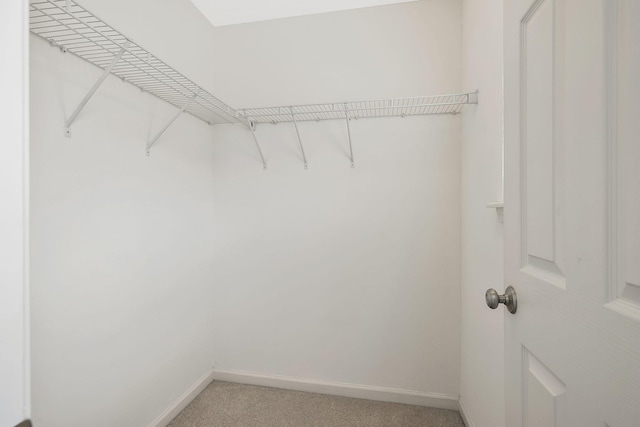 2012 Arum Ct, Spring Hill, TN 37174 - walk in closet featuring light carpet