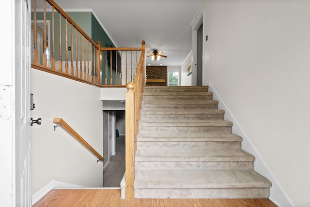 3402 Queensbury Rd, Clarksville, TN 37042 - photo 5