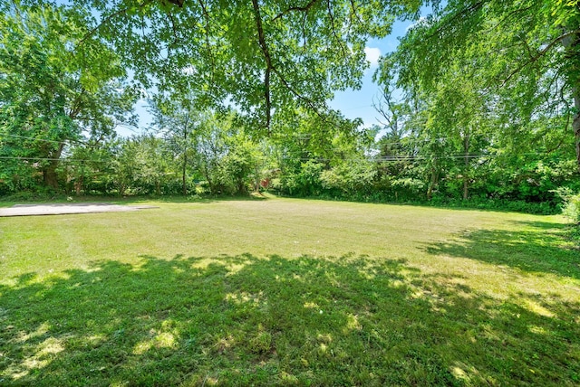 415 Jordan Rd, Clarksville, TN 37042 - view of grassy yard