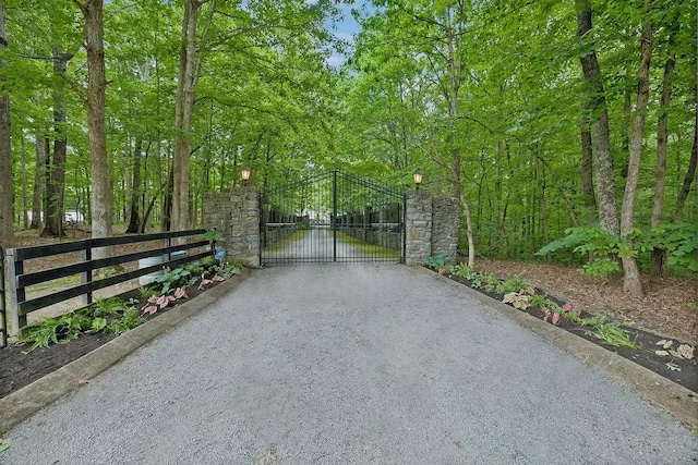 1105 Mount Pleasant Rd, Kingston Springs, TN 37082 - gate with a view of trees