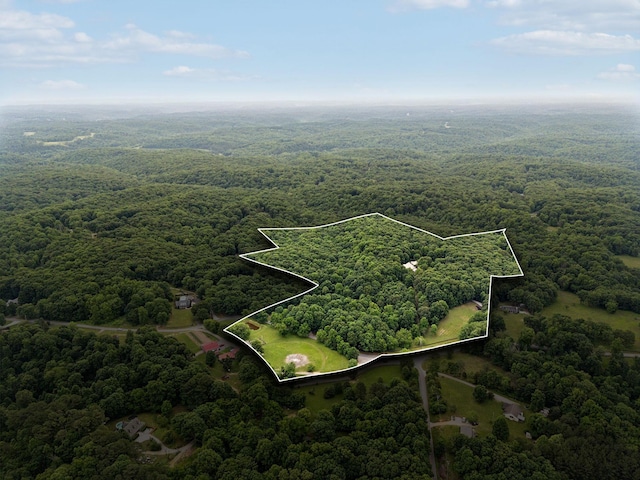 1105 Mount Pleasant Rd, Kingston Springs, TN 37082 - aerial overview of property's location featuring a forest and property boundaries highlighted