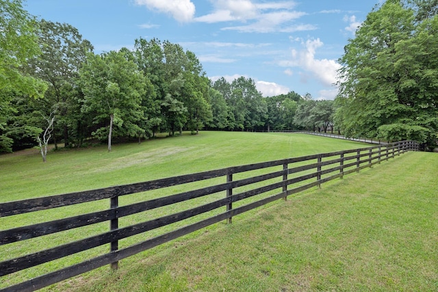 1105 Mount Pleasant Rd, Kingston Springs, TN 37082 - view of yard