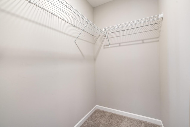 142 Rising Pvt Ln, Gallatin, TN 37066 - walk in closet featuring carpet flooring