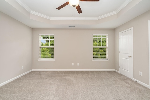 142 Rising Pvt Ln, Gallatin, TN 37066 - unfurnished room with a tray ceiling, crown molding, light colored carpet, and healthy amount of natural light