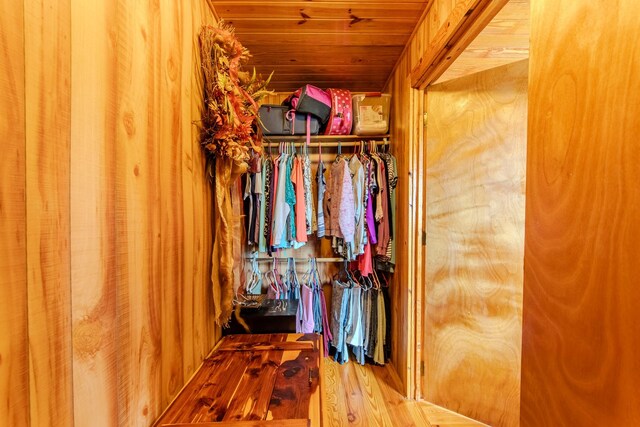 230 Silver Water Ln, Counce, TN 38326 - view of closet