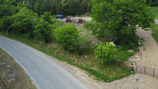 738 Rogues Fork Rd, Bethpage, TN 37022 - bird's eye view