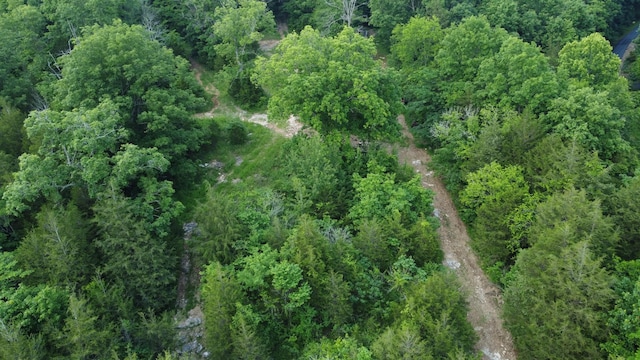 738 Rogues Fork Rd, Bethpage, TN 37022 - aerial overview of property's location