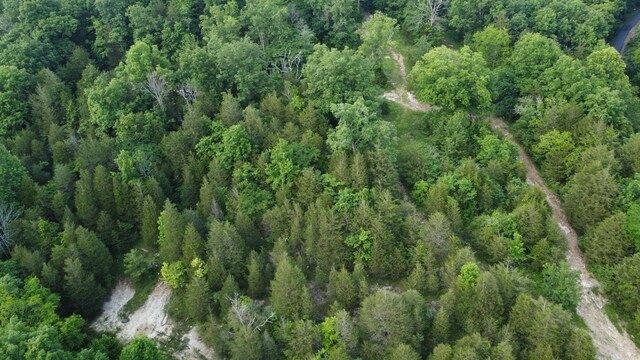 738 Rogues Fork Rd, Bethpage, TN 37022 - view of property location featuring a forest