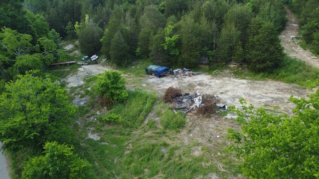 738 Rogues Fork Rd, Bethpage, TN 37022 - view of property location