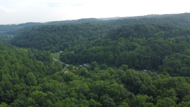 738 Rogues Fork Rd, Bethpage, TN 37022 - bird's eye view of a forest