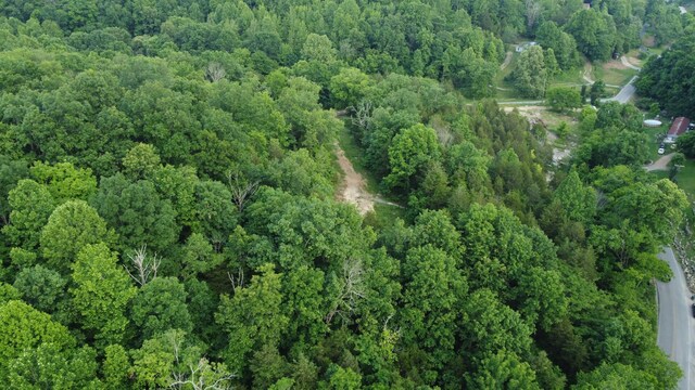 738 Rogues Fork Rd, Bethpage, TN 37022 - aerial view of property's location featuring a heavily wooded area