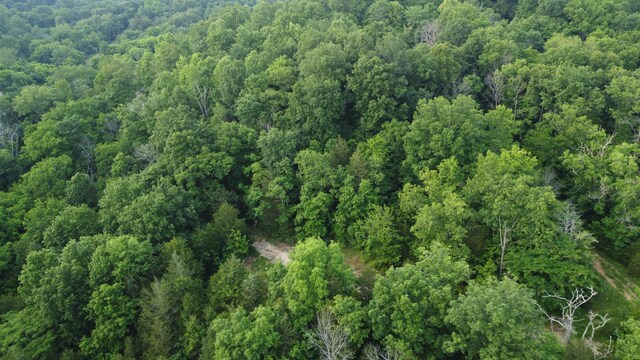 738 Rogues Fork Rd, Bethpage, TN 37022 - aerial view of property and surrounding area with a heavily wooded area
