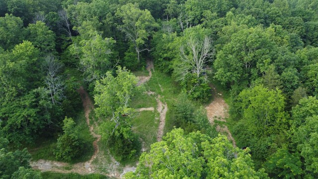 738 Rogues Fork Rd, Bethpage, TN 37022 - view of property location with a forest
