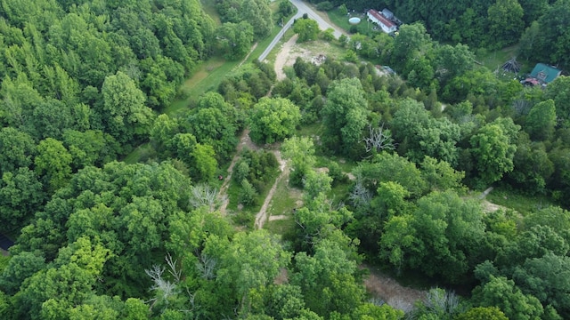 738 Rogues Fork Rd, Bethpage, TN 37022 - aerial view of property's location with a forest
