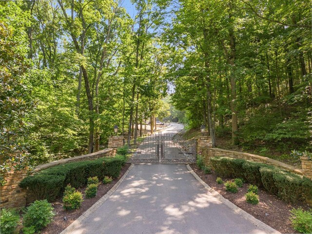 730 Valhalla Ln, Brentwood, TN 37027 - photo 3