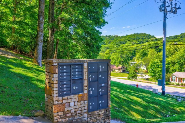 730 Valhalla Ln, Brentwood, TN 37027 - photo 9