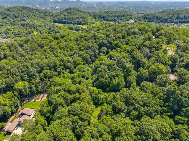 730 Valhalla Ln, Brentwood, TN 37027 - photo 15