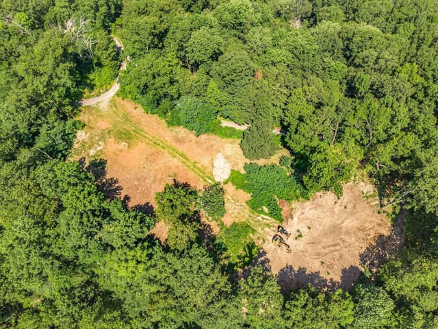 730 Valhalla Ln, Brentwood, TN 37027 - photo 7