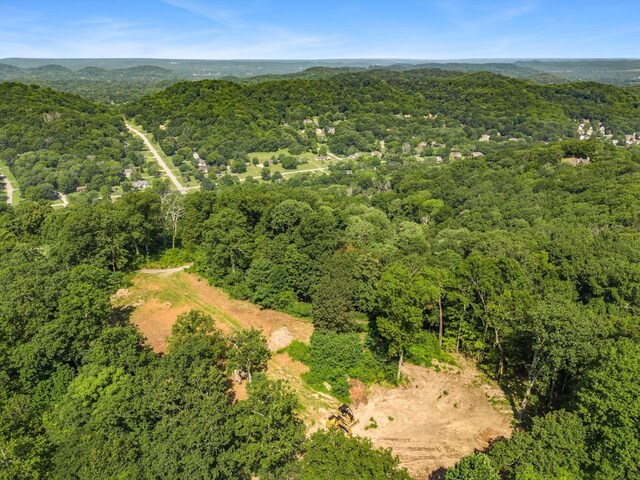 730 Valhalla Ln, Brentwood, TN 37027 - photo 22