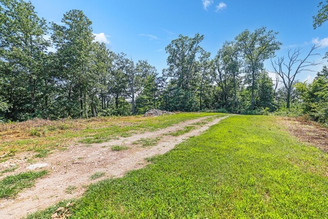 730 Valhalla Ln, Brentwood, TN 37027 - photo 19