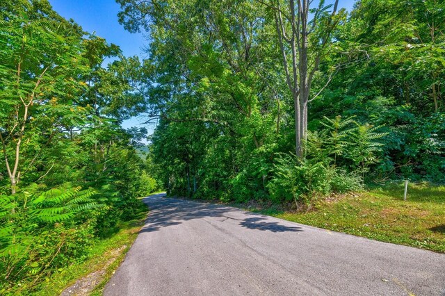 730 Valhalla Ln, Brentwood, TN 37027 - photo 10