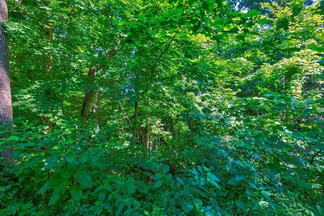 730 Valhalla Ln, Brentwood, TN 37027 - photo 13