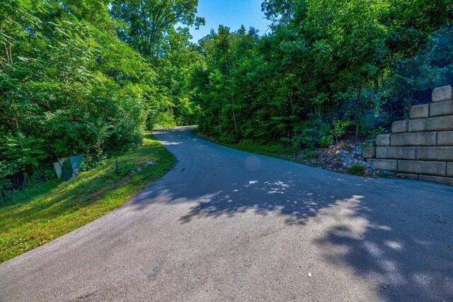 730 Valhalla Ln, Brentwood, TN 37027 - photo 11
