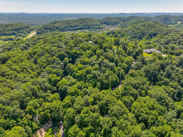 730 Valhalla Ln, Brentwood, TN 37027 - photo 27